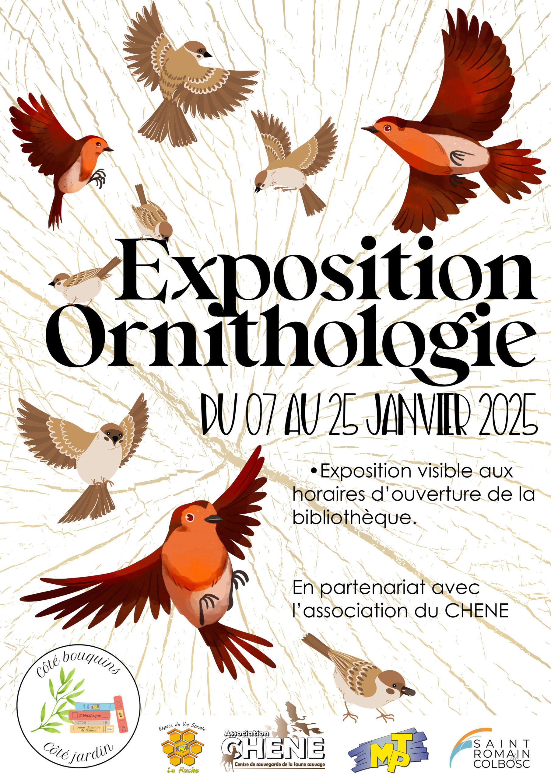 EXPOSITION & ANIMATIONS ORNITHOLOGIQUE 